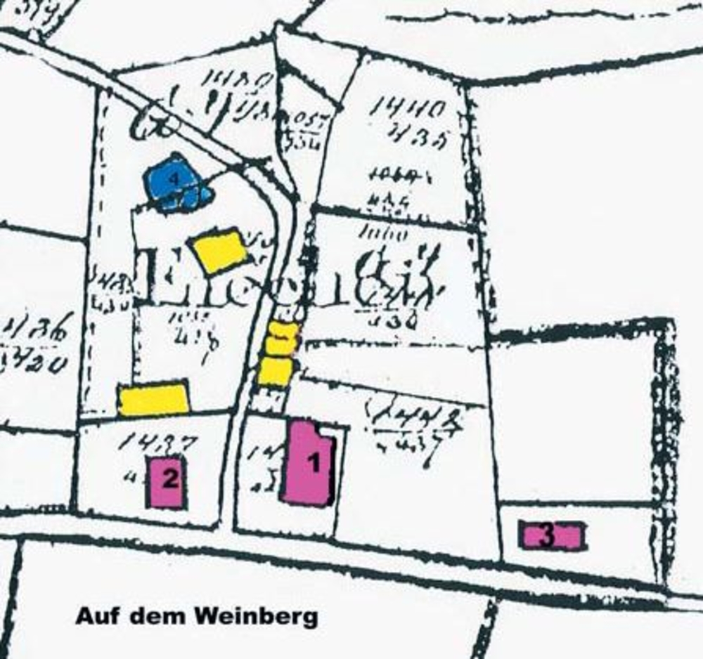 Urflurkarte von Eichen von 1824 (rot = Hauptgebäude, Nr. 3 Vikarie, blau = Weiher, gelb = Nebengebäude)