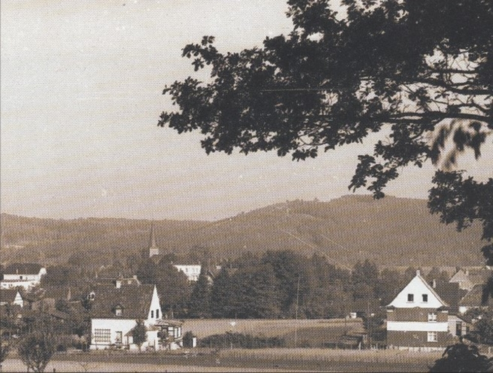 Von Auf der Hardt aus fotografiert; im Hintergrund der kahlgeschlagene Ziegenberg