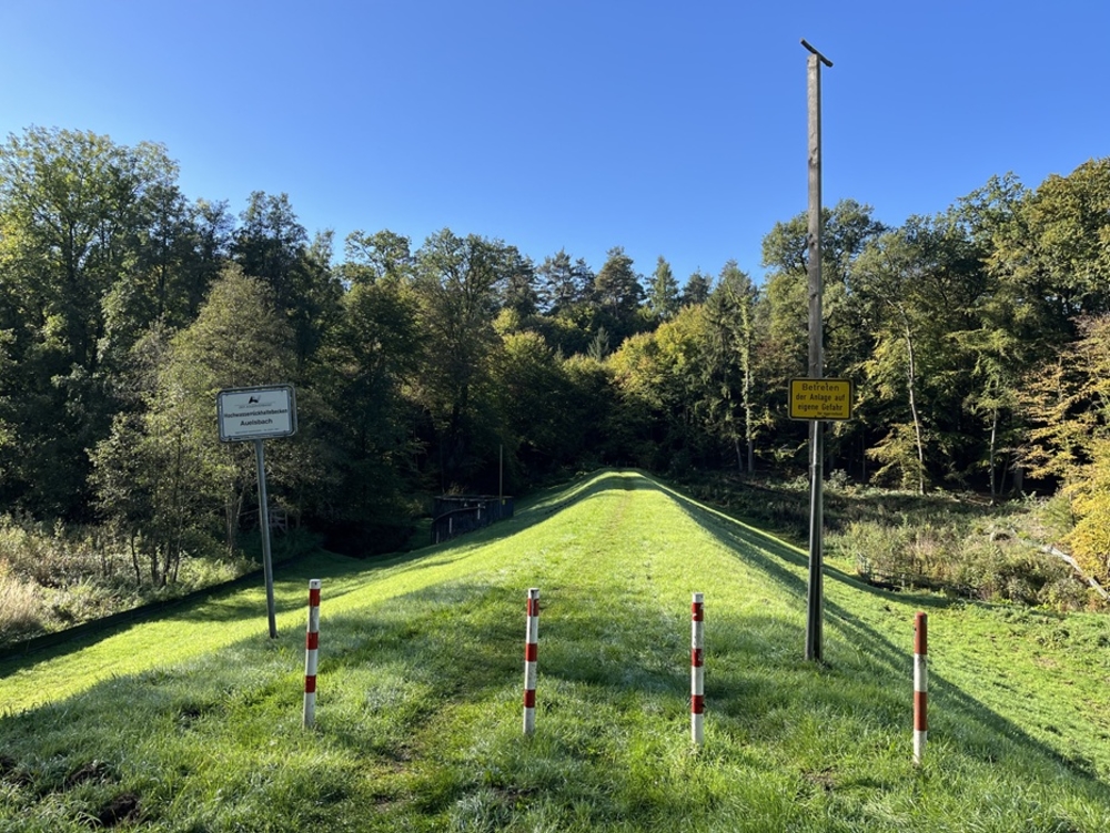 Blick von der Buchbitze über die Deichkrone im Oktober 2026. Rechts die Greivogel-Ansitzstange