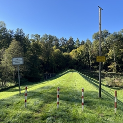Blick von der Buchbitze über die Deichkrone im Oktober 2026. Rechts die Greivogel-Ansitzstange