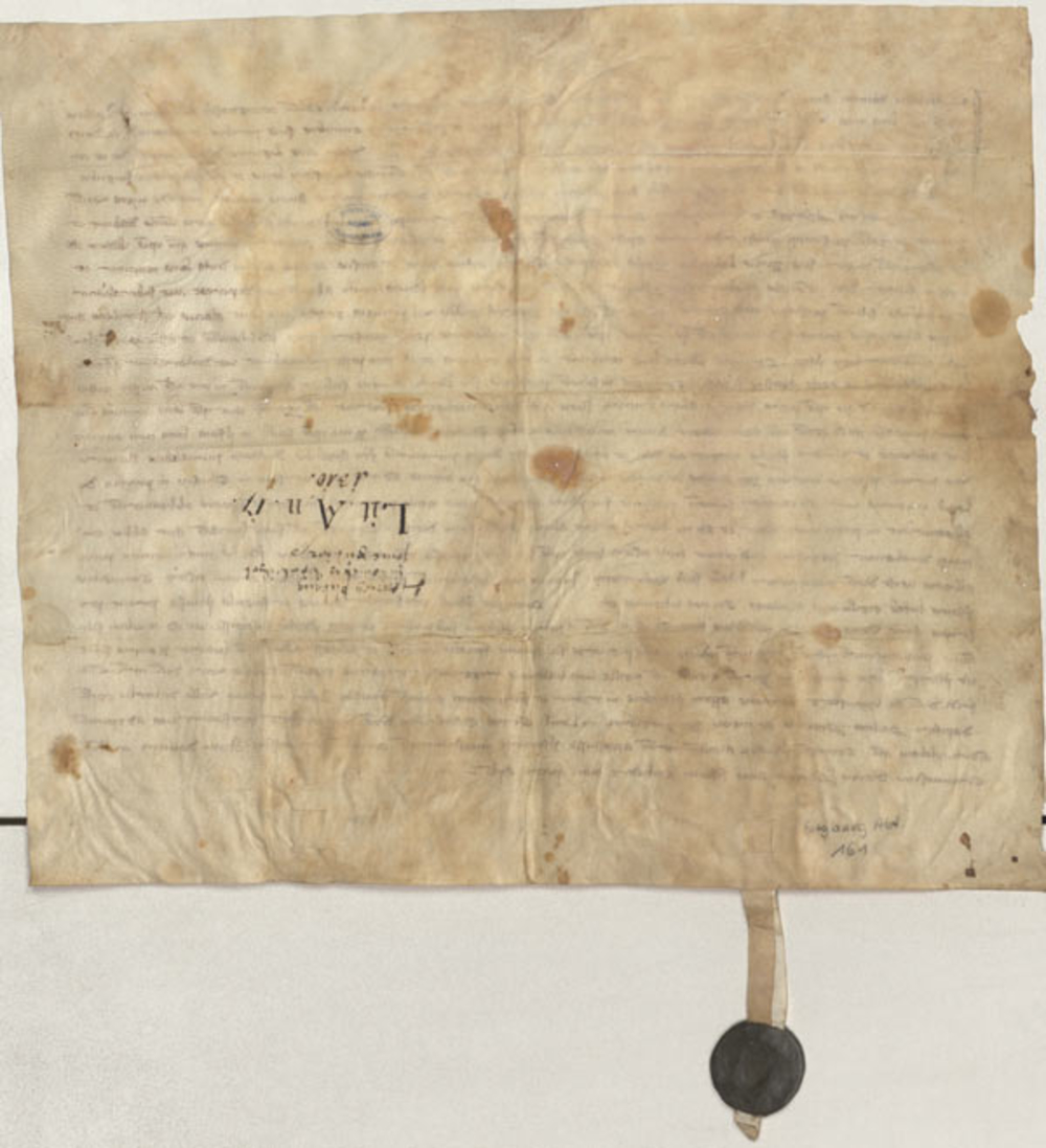 Vorderseite der Original-Urkunde in lateinischer Sprache