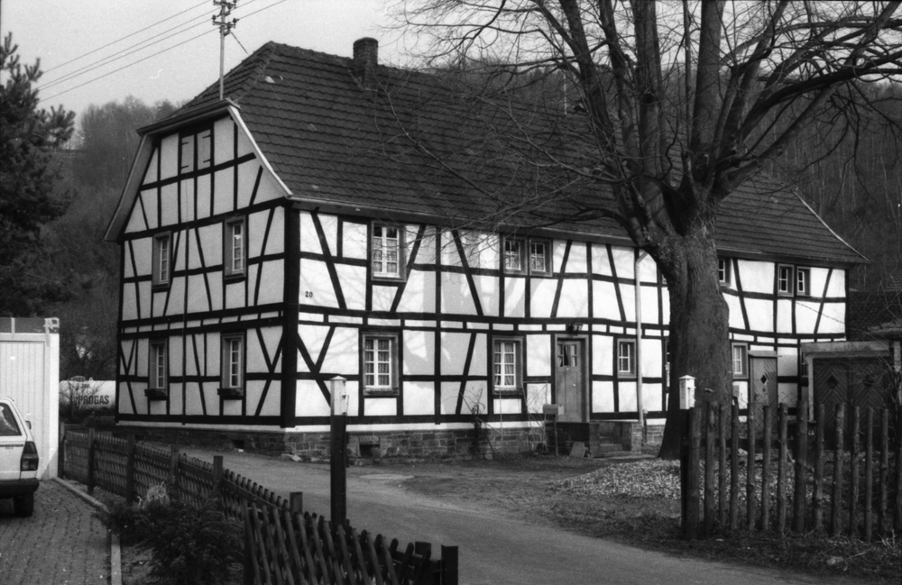Haus Broich 1984 mit Lindenbaum