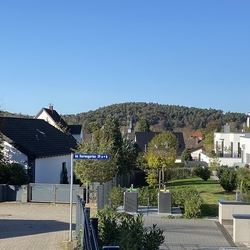 Blick von Auf der Hardt/Im Korresgarten mit Ziegenberg im Hintergrund im Nov. 2022
