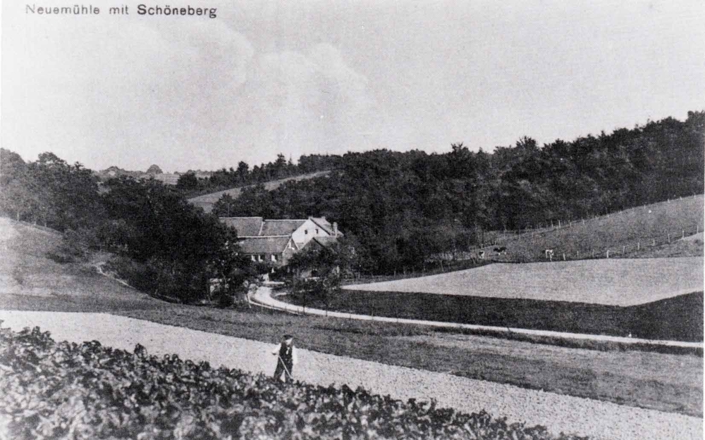 Neuemühle nach dem 1. Weltkrieg, vom Heiligenstock aus gesehen.