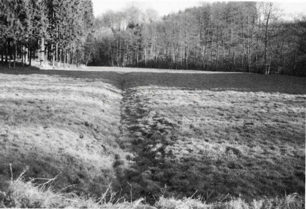 Blick in die "Sauren Wiesen" vom Damm aus, 1989