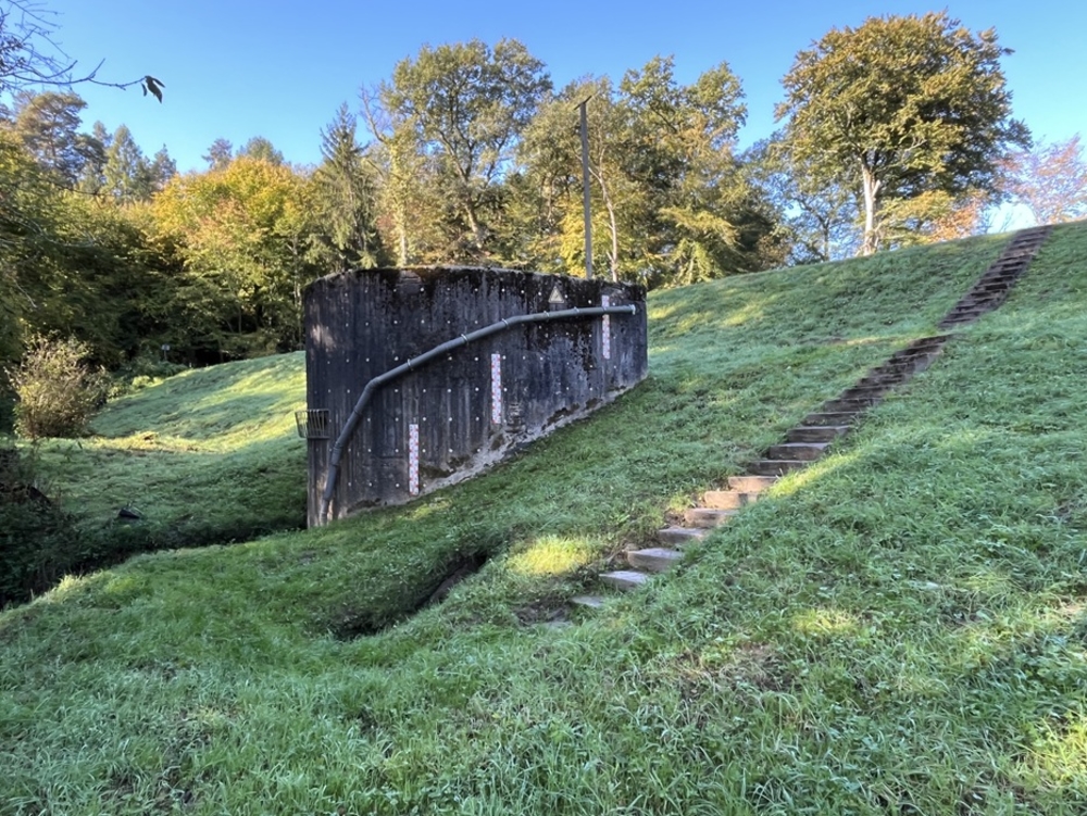 Drosselbauwerk mit Greifvogel-Ansitzstange im Oktober 2026