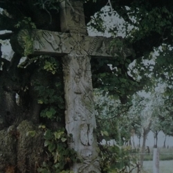 Arma-Christi-Kreuz mit alter Linde vor der ersten Restaurierung um 1970